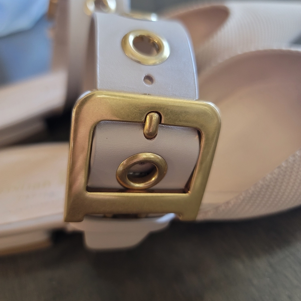 DIOR D-Dior Buckle Mules - Picture 9 of 13